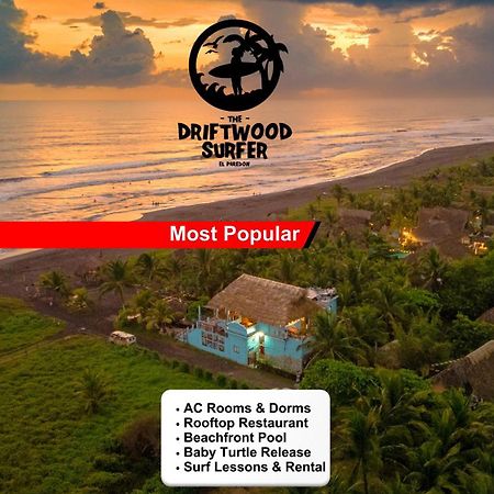 The Driftwood Surfer Beachfront Hostel / Restaurant / Bar, El Paredon Эль-Паредон-Буэна-Виста Экстерьер фото